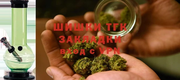 PSILOCYBIN Верхний Тагил